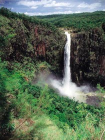 Wallaman Falls, Girringun National Park - Accommodation VIC 3