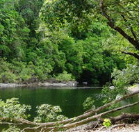 Broadwater Abergowrie State Forest - Accommodation VIC