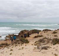 The Seaview Walking Trail - Accommodation VIC