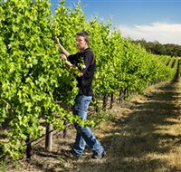 Patrick of Coonawarra - Accommodation VIC