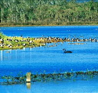 Hasties Swamp National Park - Accommodation VIC
