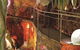 The Crystal Caves - thumb 0