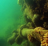 Wreck Diving at Magnetic Island - Accommodation VIC