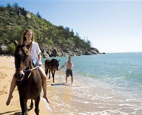 Horseshoe Bay - Accommodation VIC 1