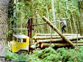 Nangwarry Forestry And Logging Museum - Accommodation VIC 3