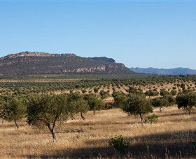 Grampians Olive Co. (Toscana Olives) - Accommodation VIC 1