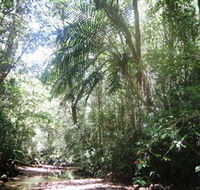 Mount Lewis National Park - Accommodation VIC
