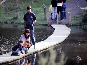 Valley Lake Conservation Park - Accommodation VIC 2