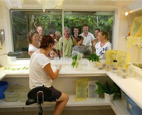 Australian Butterfly Sanctuary - Accommodation VIC 3