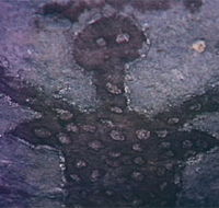 Quinkan Reserves Ancient Rock Art - Accommodation VIC