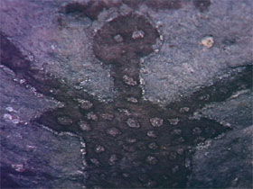 Quinkan Reserves Ancient Rock Art - Accommodation VIC 0