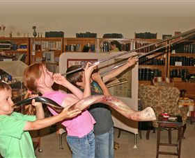 The Bible Museum - Accommodation VIC 2