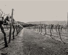 Mount Dryden VIC Accommodation VIC