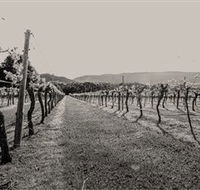 Halls Gap Estate - Accommodation VIC