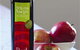 Red Rock Olives - thumb 3