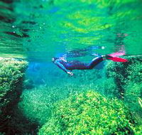 Piccaninnie Ponds Conservation Park - Accommodation VIC