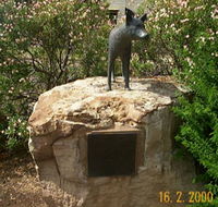 Dingo Statue - Accommodation VIC