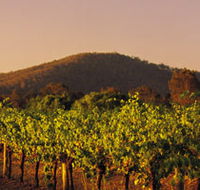 Taltarni Vineyards - Accommodation VIC