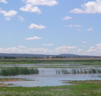 Fivebough Wetlands - Accommodation VIC