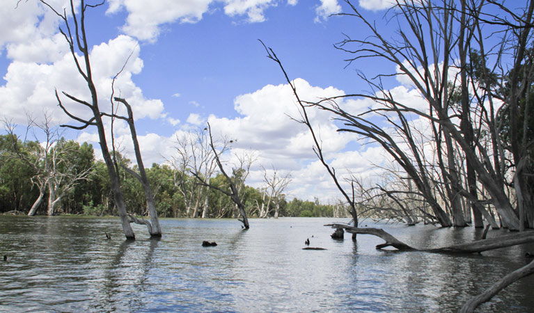 Colinroobie NSW Accommodation VIC