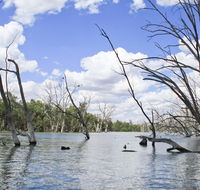 Murrumbidgee Valley National Park - Accommodation VIC