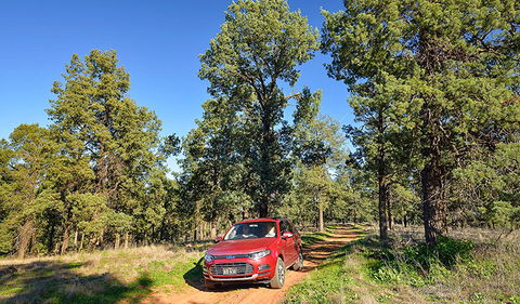 Forest Drive - Accommodation VIC 0