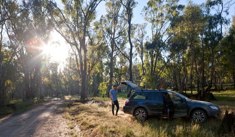 Forest Drive - Accommodation VIC 1