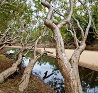 Oyala Thumotang National Park CYPAL - Accommodation VIC