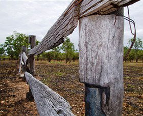 Oyala Thumotang National Park (CYPAL) - Accommodation VIC 1