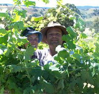 Wimmera Hills Winery - Accommodation VIC