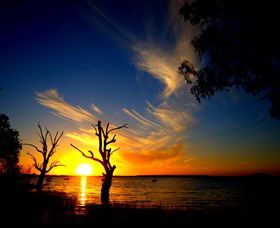 Lake Cowal - Accommodation VIC 0