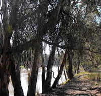 Mia Forest Drives Narrandera - Accommodation VIC
