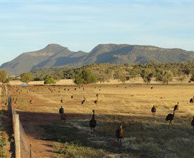 Emu Logic - Accommodation VIC 0