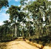 Paddys Ranges State Park - Accommodation VIC