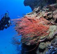 Three Sisters Dive Site - Accommodation VIC