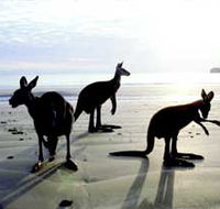 Hibiscus Coast - Accommodation VIC