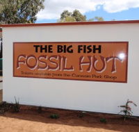 Big Fish Fossil Hut at Peak Hill - Accommodation VIC