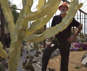 Cactus Country - Accommodation VIC 0