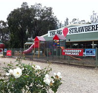 The Big Strawberry - Accommodation VIC
