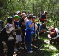 Warrumbungle National Park Discovery Program - Accommodation VIC