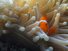 Whitsundays QLD Accommodation VIC