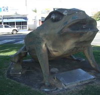 Big Cane Toad - Accommodation VIC
