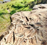 Terramungamine Rock Grooves - Accommodation VIC