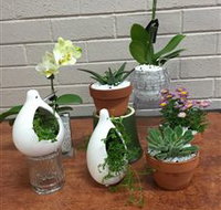 Cobram Florist - Accommodation VIC
