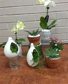 Cobram Florist - Accommodation VIC 0