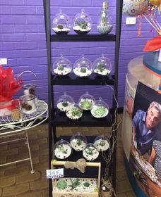 Cobram Florist - Accommodation VIC 3