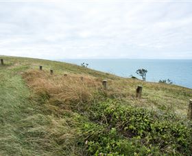 Cape Palmerston National Park - Accommodation VIC 3