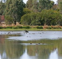 Cussen Park - Accommodation VIC