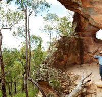 Pilliga National Park - Accommodation VIC