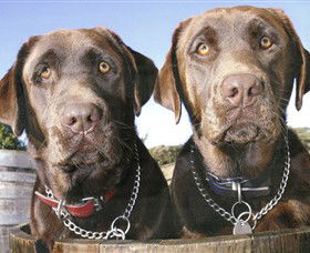 Ellender Estate - Accommodation VIC 7